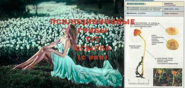 кокаин Абаза