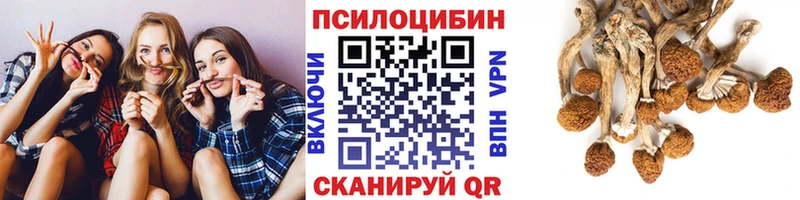 hydra рабочий сайт  Усть-Илимск  Псилоцибиновые грибы Psilocybine cubensis 